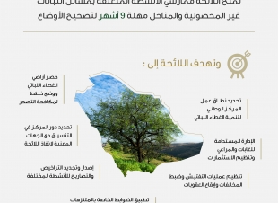 البيئة بدء تطبيق اللائحة التنفيذية لتنمية الغطاء النباتي ومكافحة التصحر ومهلة 9 أشهر لتصحيح الأوضاع